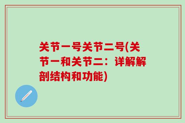 关节一号关节二号(关节一和关节二：详解解剖结构和功能)