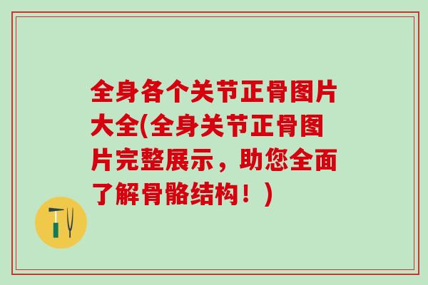 全身各个关节正骨图片大全(全身关节正骨图片完整展示,助您全面了解骨骼结构!) 全身各个关节正骨图片大全(全身关节正骨图片完整展示,助您全面了解骨骼结构!)