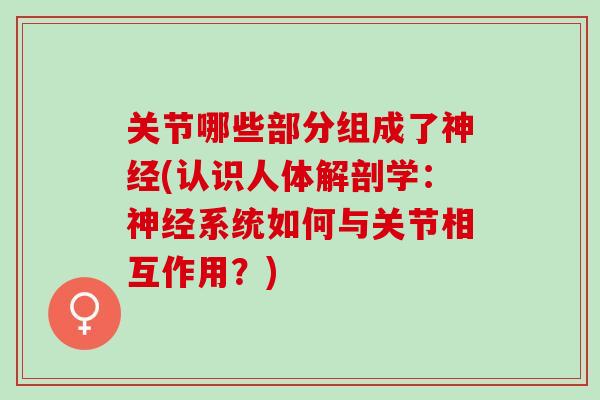 关节哪些部分组成了神经(认识人体解剖学：神经系统如何与关节相互作用？)