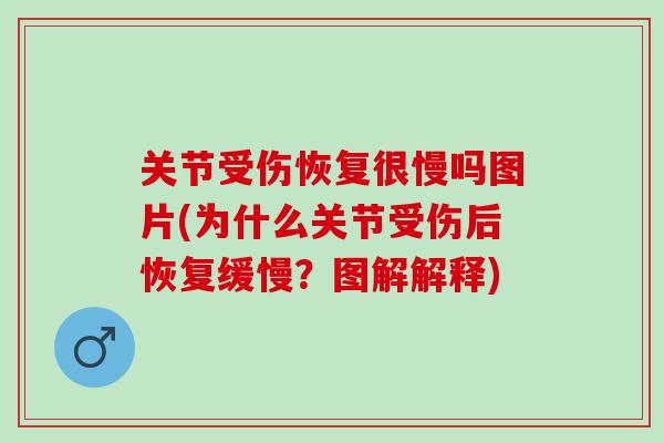 关节受伤恢复很慢吗图片(为什么关节受伤后恢复缓慢？图解解释)