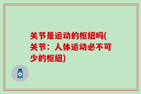 关节是运动的枢纽吗(关节：人体运动必不可少的枢纽)