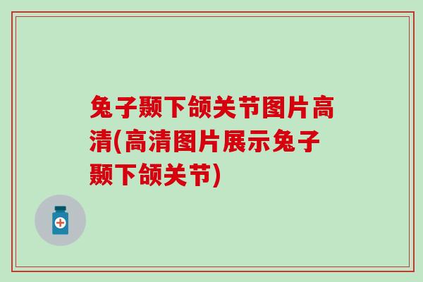 兔子颞下颌关节图片高清(高清图片展示兔子颞下颌关节)