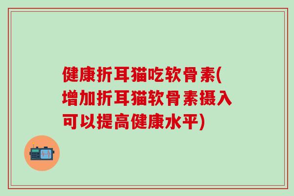 健康折耳猫吃软骨素(增加折耳猫软骨素摄入可以提高健康水平)