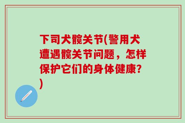 下司犬髋关节(警用犬遭遇髋关节问题，怎样保护它们的身体健康？)