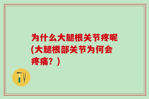 为什么大腿根关节疼呢(大腿根部关节为何会？)