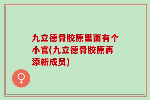 九立德骨胶原里面有个小官(九立德骨胶原再添新成员)