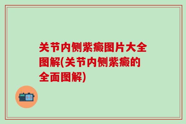 关节内侧紫癜图片大全图解(关节内侧紫癜的全面图解)