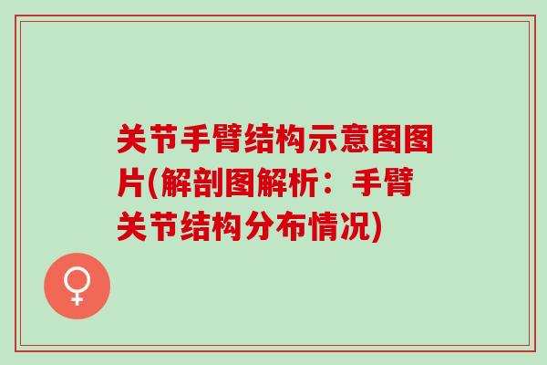 关节手臂结构示意图图片(解剖图解析：手臂关节结构分布情况)