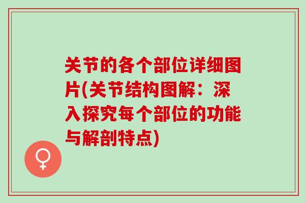关节的各个部位详细图片(关节结构图解：深入探究每个部位的功能与解剖特点)