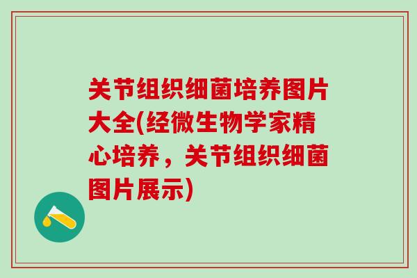 关节组织培养图片大全(经微生物学家精心培养,关节组织图片展示) 关节组织培养图片大全(经微生物学家精心培养,关节组织图片展示)