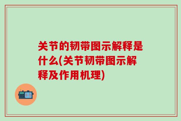关节的韧带图示解释是什么(关节韧带图示解释及作用机理)