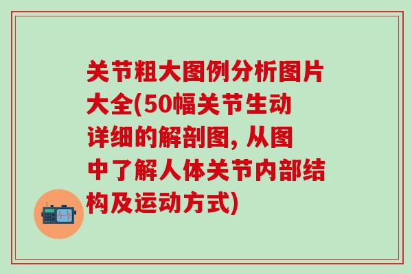 关节粗大图例分析图片大全(50幅关节生动详细的解剖图, 从图中了解人体关节内部结构及运动方式)