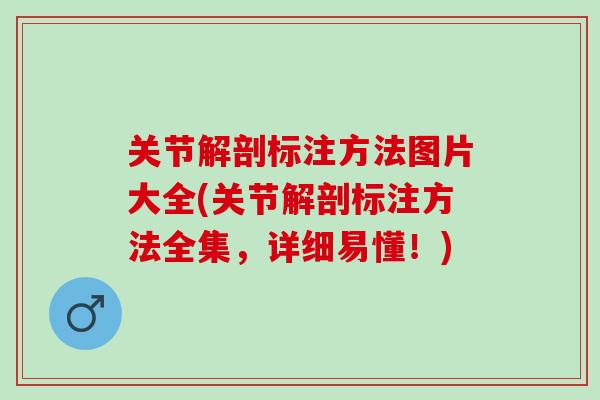 关节解剖标注方法图片大全(关节解剖标注方法全集，详细易懂！)