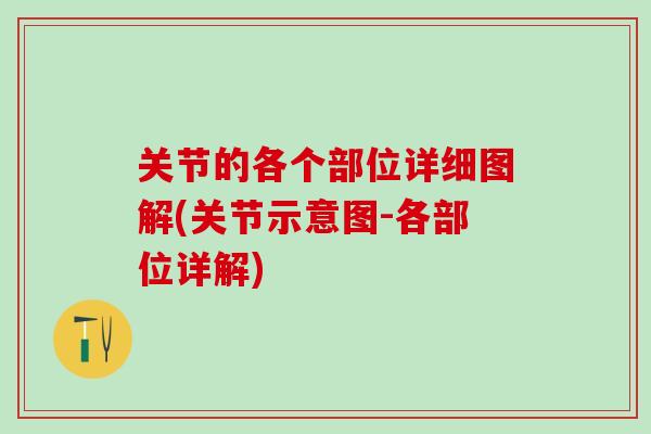 关节的各个部位详细图解(关节示意图-各部位详解)