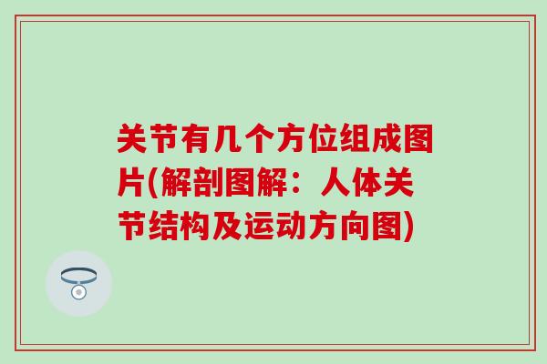 关节有几个方位组成图片(解剖图解：人体关节结构及运动方向图)