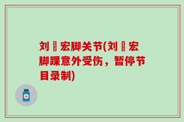 刘畊宏脚关节(刘畊宏脚踝意外受伤，暂停节目录制)