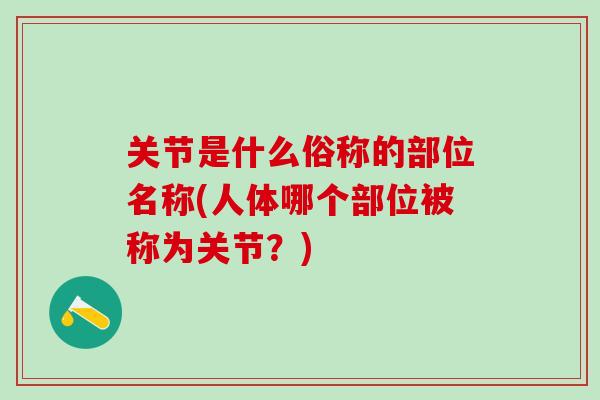 关节是什么俗称的部位名称(人体哪个部位被称为关节？)