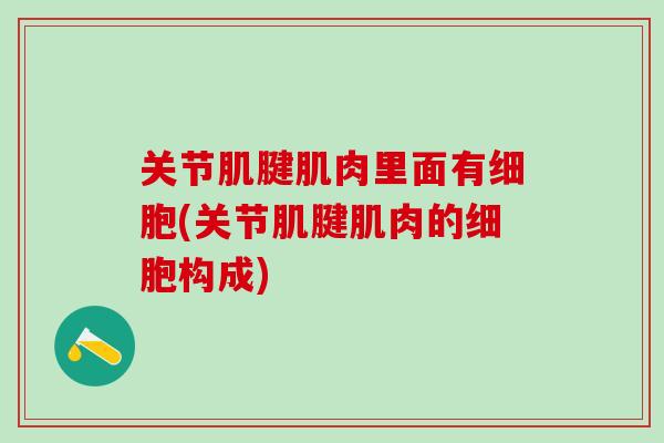 关节肌腱肌肉里面有细胞(关节肌腱肌肉的细胞构成)