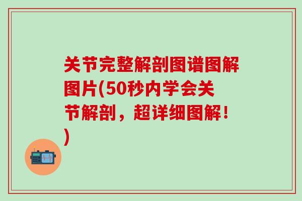 关节完整解剖图谱图解图片(50秒内学会关节解剖，超详细图解！)