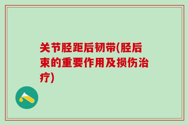 关节胫距后韧带(胫后束的重要作用及损伤治疗)