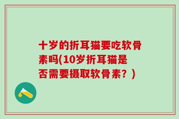 十岁的折耳猫要吃软骨素吗(10岁折耳猫是否需要摄取软骨素？)