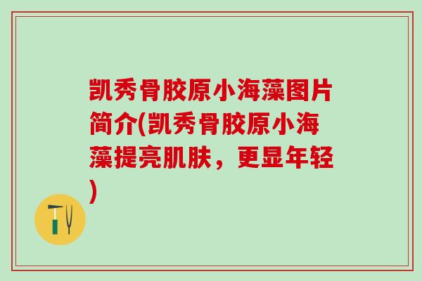 凯秀骨胶原小海藻图片简介(凯秀骨胶原小海藻提亮，更显年轻)