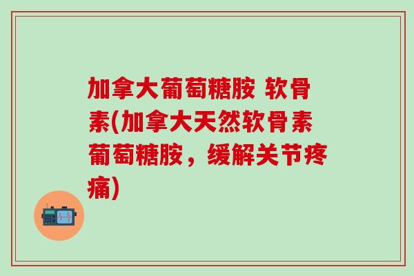 加拿大葡萄糖胺 软骨素(加拿大天然软骨素葡萄糖胺，缓解关节疼痛)
