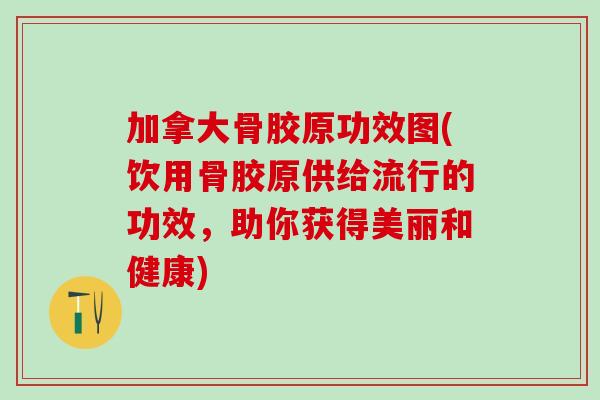 加拿大骨胶原功效图(饮用骨胶原供给流行的功效，助你获得美丽和健康)