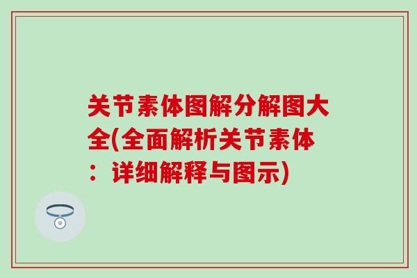 关节素体图解分解图大全(全面解析关节素体：详细解释与图示)