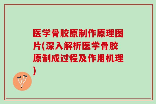 医学骨胶原制作原理图片(深入解析医学骨胶原制成过程及作用机理)