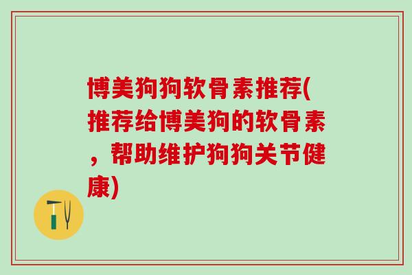 博美狗狗软骨素推荐(推荐给博美狗的软骨素，帮助维护狗狗关节健康)