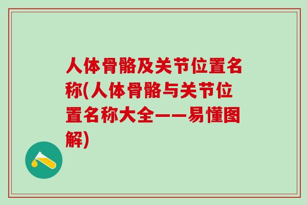 人体骨骼及关节位置名称(人体骨骼与关节位置名称大全——易懂图解)