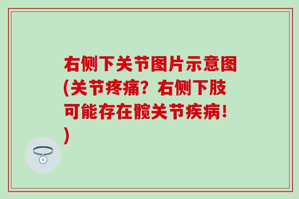 右侧下关节图片示意图(关节？右侧下肢可能存在髋关节！)