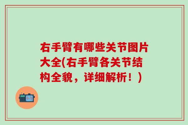右手臂有哪些关节图片大全(右手臂各关节结构全貌，详细解析！)