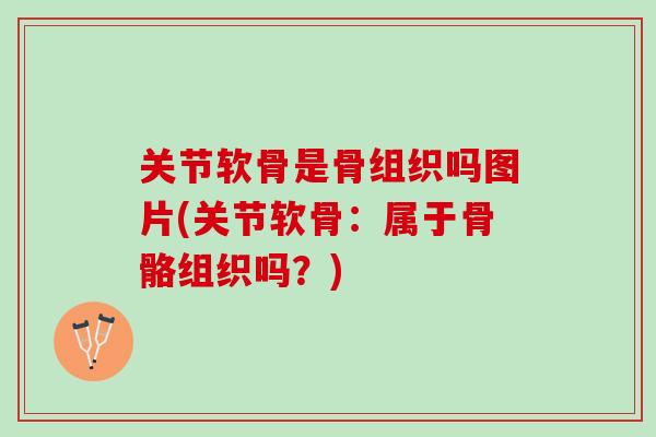 关节软骨是骨组织吗图片(关节软骨：属于骨骼组织吗？)