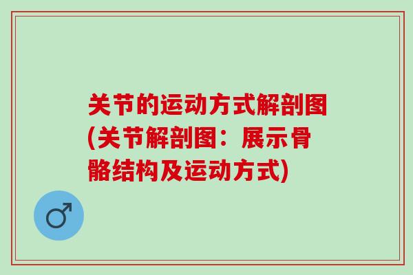 关节的运动方式解剖图(关节解剖图：展示骨骼结构及运动方式)