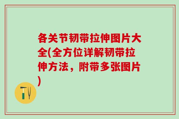 各关节韧带拉伸图片大全(全方位详解韧带拉伸方法，附带多张图片)