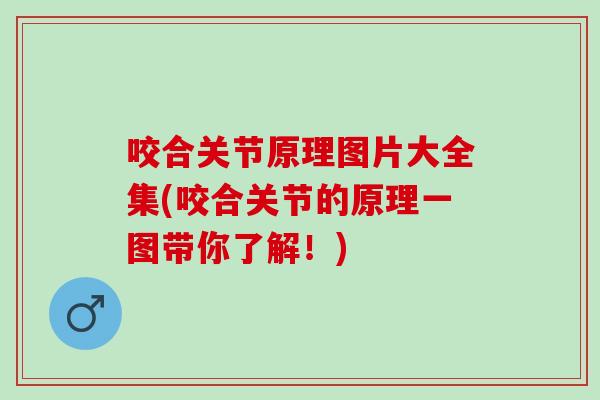 咬合关节原理图片大全集(咬合关节的原理一图带你了解！)
