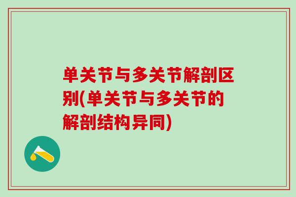 单关节与多关节解剖区别(单关节与多关节的解剖结构异同)