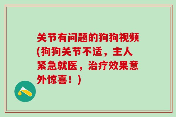 关节有问题的狗狗视频(狗狗关节不适，主人紧急就医，治疗效果意外惊喜！)