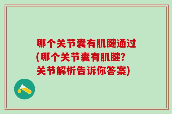哪个关节囊有肌腱通过(哪个关节囊有肌腱？关节解析告诉你答案)