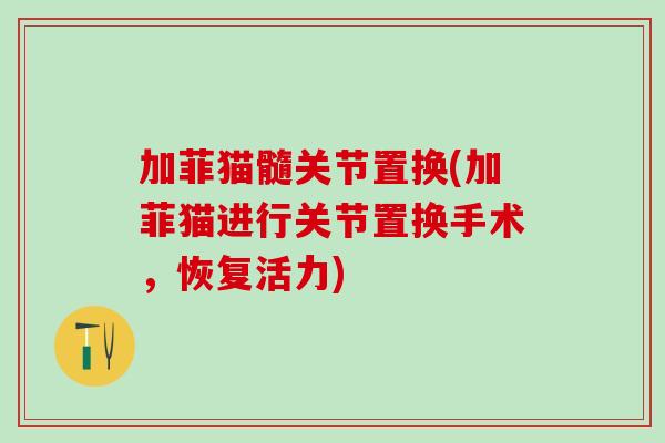 加菲猫髓关节置换(加菲猫进行关节置换手术，恢复活力)