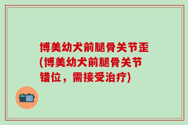 博美幼犬前腿骨关节歪(博美幼犬前腿骨关节错位,需接受) 博美幼犬前腿骨关节歪(博美幼犬前腿骨关节错位,需接受)