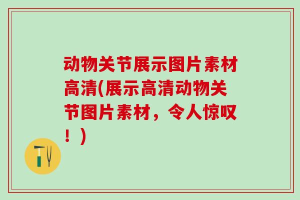 动物关节展示图片素材高清(展示高清动物关节图片素材，令人惊叹！)