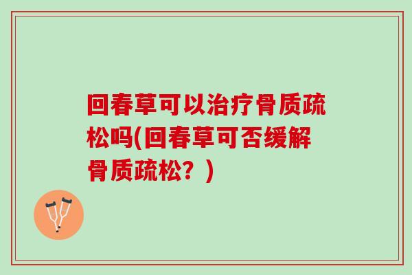 回春草可以治疗骨质疏松吗(回春草可否缓解骨质疏松？)