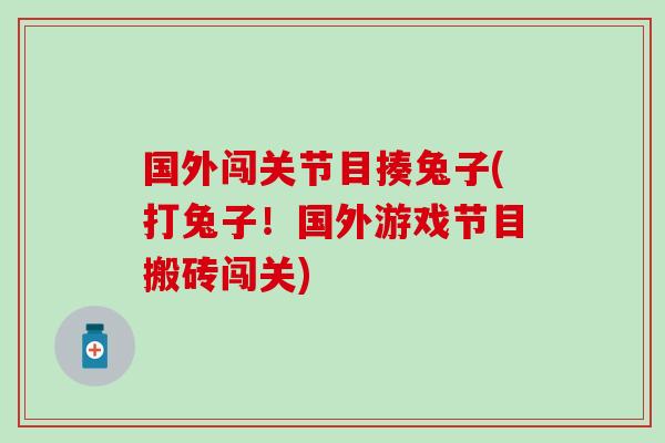国外闯关节目揍兔子(打兔子！国外游戏节目搬砖闯关)