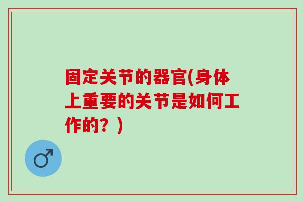 固定关节的器官(身体上重要的关节是如何工作的？)