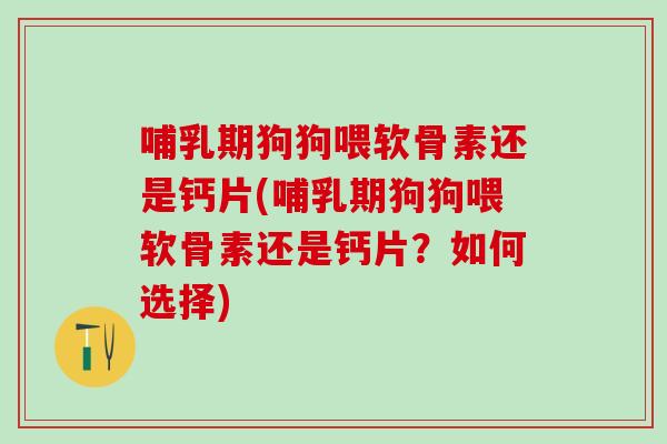 哺乳期狗狗喂软骨素还是钙片(哺乳期狗狗喂软骨素还是钙片？如何选择)