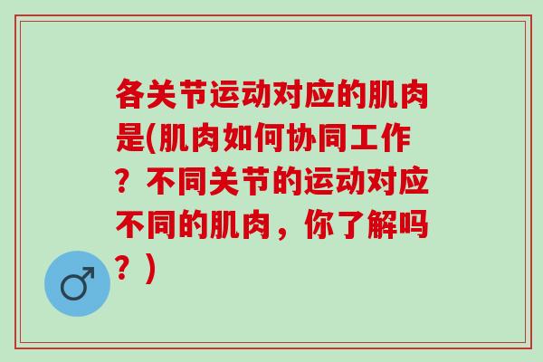 各关节运动对应的肌肉是(肌肉如何协同工作？不同关节的运动对应不同的肌肉，你了解吗？)