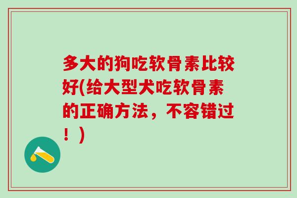 多大的狗吃软骨素比较好(给大型犬吃软骨素的正确方法，不容错过！)